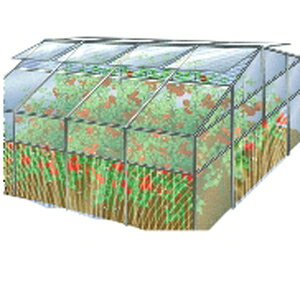 hlbg }nin`plbg 150cm×100m (rj[nEX rj[ nEX i }nio` ƒ؉ ΍ Q _Ɨp |lbg 悯lbg  _ p h  lbg