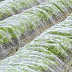 hlbg TTlbgEX2000 1mm 2.1m×100m 90% @i(rj[nEX rj[ nEX i gl ͔|  ƒ؉ ΍ Q _Ɨp |lbg 悯lbg  _