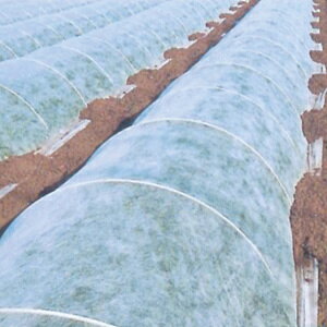 pIpI90ׂ 200m×150cm ۉp sDz 悯 悯(_Ɨp |pi hJo[ ƒ؉ hV[g  ۉV[g gl  ΍ V[g _Ɨp K[f