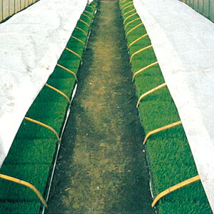 uV[g20307 0.13mm×50m×105cm ( gl͔| sDz _ƗpsDz glp ۉV[g _Ǝ ۉ _Ɨp |p | K[fjO K[fpi _