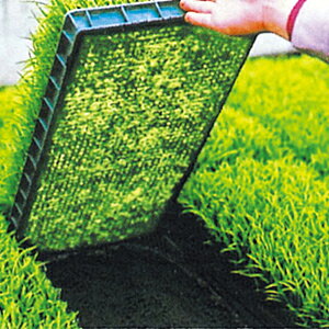 uV[g20307 0.13mm×50m×210cm ( gl͔| sDz _ƗpsDz glp ۉV[g _Ǝ ۉ _Ɨp |p | K[fjO K[fpi _