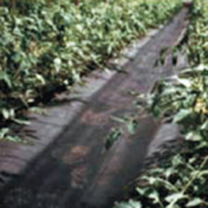 楽天市場 ラブシート通路マット 長さ100m 幅60cm 防草シート 雑草防止シート 雑草シート 庭 雑草対策 農業資材 農業用品 道具 ガーデニング 園芸資材 家庭菜園 園芸用品 野菜 果樹園 遮光性 不織布 除草シート 防止シート ガーデン雑貨 農作業 シート 農業用不織布 除草