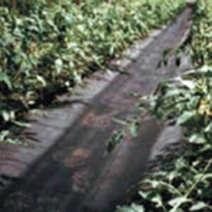 uV[gʘH}bg 90cm×100m ( {_ƃVXe _ | ƒ ؉ h  G sDz ԙ  ʍ c ͔| )