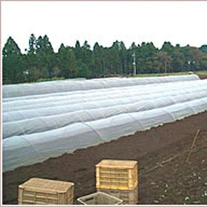 ΃t 100m× 210cm ( _po sDz _ƗpsDz ۉV[g _Ǝ ۉ _Ɨp |p | K[fjO K[fpi _ ƒ؉ ֗ ObY)