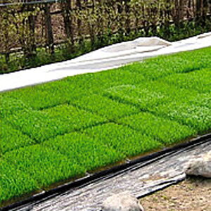 ؂胏t 50m N1400 ( cpi ~ c ۉV[g _Ǝ ۉ _Ɨp |p | K[fjO K[fpi _ ƒ؉ ֗ ObY ˂胏t )