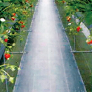 _CIOhV[g Rۍܓ  150cm×100m ( {_ƃVXe _ | ƒ ؉ K[fjO  h G ԙ  ʍ c 傻 ڂ )