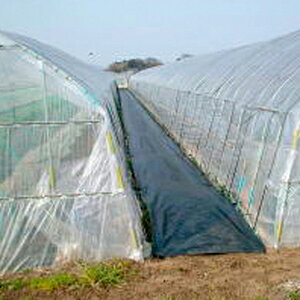 AhV[g50m×100cm3{Zbg(hV[g Gh~V[g GV[g  G΍ _Ǝ h~V[g _Ɨpi _Ɨp  K[fjO | ƒ؉ |pi _