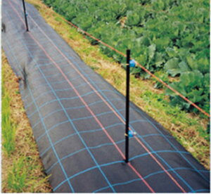 AOV[g  100m×75cm ՌAhʔQ̖hV[g(hV[g Gh~V[g GV[g  G΍ _Ǝ _Ɨpi K[fjO |  ۉ ʂ