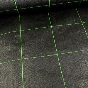 AOV[g Rۓ 100m×150cm ՌAhʔQ̖hV[głB(Gh~V[g GV[g  G΍ _Ǝ h~V[g _Ɨpi _Ɨp  K[fjO 