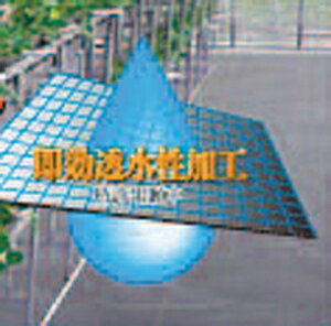 hV[g ̓AOV[g 2m×100m i (Gh~V[g GV[g  G΍ _Ǝ h~V[g _Ɨpi  K[fjO |  Ռ |pi ɂ