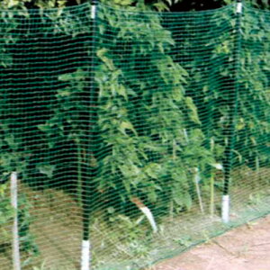 Gg[Ń|Cg10{IIAj}lbg 16mm×50m×1.5m