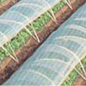 _r n 100m×0.05mm×200cm i ۉ gl rj[nEXAATChɓKrj[łB( |p | rj[V[g ۉJo[ K[fjO _ 