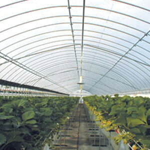 PON[\tgS 100m×0.1mm×135cm ۉ rj[nEXp ATChɓKtBłB(_Ǝ ƒ؉ ͔| |pi i _Ɨp |  _Ɨpi 