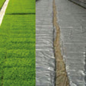 Vo[|p 0.05mm×100m×210cm ( cpi ʂ˂ ܂˂ ͔| c ۉV[g _Ǝ ۉ _Ɨp |p | K[fjO K[fpi _ ƒ