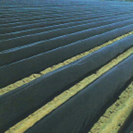 黒マルチ 厚さ0.05mmX幅180cmX長さ100m 2本セット 雑草の抑制効果が高い畑用黒マルチです。(マルチ シート 雑草防止シート マルチシート ざっそう 雑草対策 家庭菜園 農業 農業用 資材 農作業 農業資材 園芸 園芸用 園芸用品 園芸グッズ 園芸資材 園芸用資材 くろマルチ )