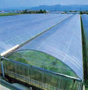 hGg[Ń|Cg5{Ih_rG[X݂炢 100m×0.1mm×200cmhۉރglrj[nEXAATChɓKrj[łB