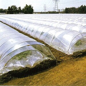 _rx^X 100m×0.075mm×185cm@i@hۉރglrj[nEXAATChɓKrj[łB