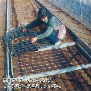 Gg[Ń|Cg10{IIXs[h|b^[ L40P a75m