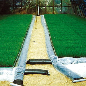 Gg[Ń|Cg10{IIv[V[g 10m×0.1mm×A160cm