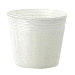 Gg[Ń|Cg10{IIJ[|bga12cm×10cm  100