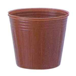 Gg[Ń|Cg10{IIJ[|bg a12cm×10cm  100