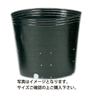 Gg[Ń|Cg10{II||bgۑʌa24cm×24cm×24100