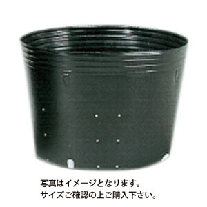 Gg[Ń|Cg10{II||bgۑʌa36cm×32cm×3025