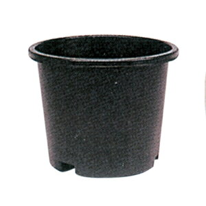 Gg[Ń|Cg10{IINP|bg 25L 10