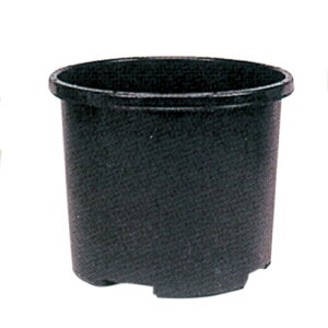 Gg[Ń|Cg10{IINP|bg 60L 10