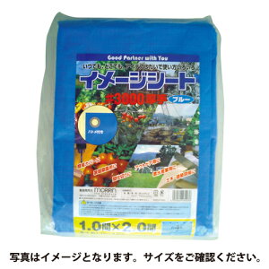 �G���g���[�Ń|�C���g10�{�I�I�u���[�V�[�g#3000 ��4.5mX��5.4m