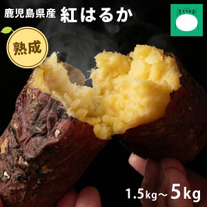  g͂邩 IׂTCY MTCY LTCY 2LTCY 󂠂 1.5kg`5kgIׂ 1.5kg 3kg 4.5kg 5kg ܂ Y Y   ۑ  Mtg n lC Hו 