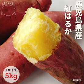 送料無料 紅はるか Lサイズ 5kg さつまいも 箱買い 鹿児島県 国産 野菜 常備野菜 保存野菜 生芋 ギフト お返し 人気 食べ物 贈り物 プレゼント ブランド 5kg*さつまいもL5kg*