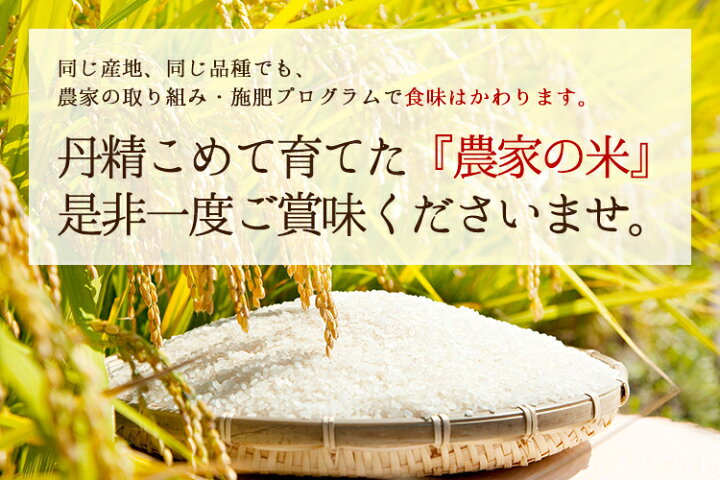楽天市場】【ポイント10倍！4/14 20時から】米 玄米 30kg コシヒカリ 