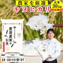 楽天市場】キヌヒカリ 30kg 滋賀県の通販