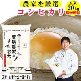 【ポイント10倍！4月4日20時から】米 玄米 20kg コシヒカリ生産農家を井澤商店4代目が厳選吟味 お米 20kg 精米無料 玄米/白米選べます 令和7年兵庫県産 米 産地直送 送料無料(沖縄除く)