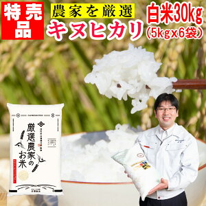 yizV   30kg LkqJY_ƂVX4ڂIᖡ ďôׂݗߘa7NɌY  Yn (ꏜ)ie͏iEiTu摜ł悭mFK