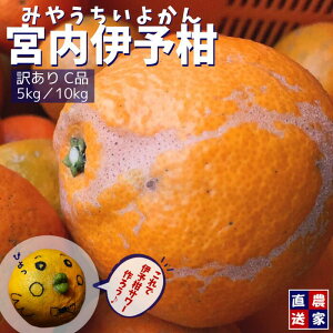 ys\z {悩 󂠂 Ci y2{菇z Q _  b5kg / 10kg TCY b k Hp W }[}[h  t[c ƒp  t