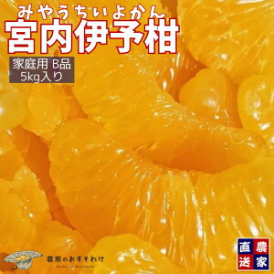 ys\ z {悩 ƒp Bi y2{菇z Q _  b5kg TCYb lC  I {̊k QY 󂠂   ݂ ɗ\ y