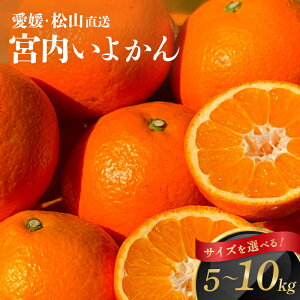 ys\zn 悩 󂠂 ƒp y1菇z b 10kg 8kg 5kg b TCYE (Lȉ) b Q _  b 撅 ʌ bL[orS{[y v[