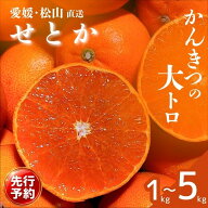 【先行予約】せとか 訳あり 家庭用 【2027年3月より順次発送】 サイズ混合 ｜ 1kg 2.5kg 5kg ｜ 愛媛 農…