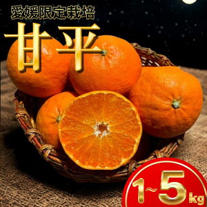 ys\z Õ ƒp 󂠂 Bi y2菇z TCY b 1kg / 2.5kg / 5kg b Q _  i ؂ H   k 󂠂  N[| ݂ yz