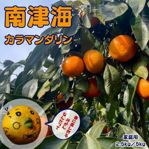 【先行予約】 南津海 家庭用 B品 【4月より順次発送】 愛媛 農家 直送 |2.5kg / 5kg サイズ混合| なつみ カラマンダリン 希少品種 春柑橘 ジューシーな味わい 訳あり お得 クーポン みかん 【