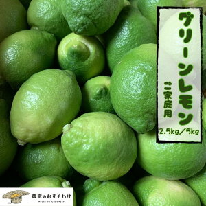 O[ ƒp Bi yoגz Q _  b2.5kg / 5kg TCYb m[bNX hܕsgp Y  S S 󂠂 yz