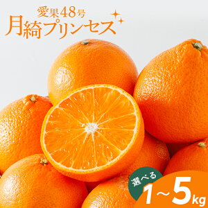 �y��s�\��z ���Y�v�����Z�X �󂠂� ����48�� �g�v�����Z�X���i�� �y2027�N3����{��菇�������\��z �b 1kg / 2.5kg / 5kg �T�C�Y���� �b ���Q ����͔| �V�i�� �g�܂ǂ�� × �Õ� �_�ƒ��� ���k