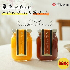 紀州南高梅 梅ジャム 280g 和歌山県産 みかんジャム 甘酸っぱい 果実ジャム 国産ジャム パン ヨーグルト じゃむ 完熟 甘酸っぱい