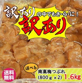 紀州南高梅 訳あり中の訳ありつぶれ梅 1.6kg（800g×2）はちみつ梅 しそ梅 はちみつ漬 しそ 白干梅 昔ながらの梅干し 酸っぱい はちみつ 蜂蜜 紀州 南高梅 減塩 訳あり お買い得　つぶれ梅【送料無料】 白干し梅