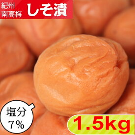紀州南高梅 しそ漬【塩分7％】 1.5kg（500g×3)【サイズ選べます】小粒 大粒 中粒しそ しそ梅 しそ梅干し 梅干し 紀州梅干し 紀州梅 南高梅 南高梅干し はちみつ梅 はちみつ梅干 和歌山 ご飯のお供 お取り寄せ 送料無料