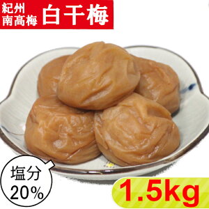 IB썂~ ~y20z 1.5kgi500g×3)yTCYIׂ܂z 嗱 ~ ~ IB~ IB~ 썂~ 썂~ a̎R т̂   Ē @