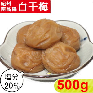 IB썂~ ~y20z 500gyTCYIׂ܂z 嗱 ~ ~ IB~ IB~ 썂~ 썂~ a̎R т̂   Ē @h@_