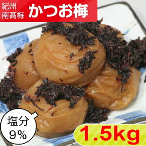 IB썂~ ~y9z 1.5kg(500g×3) yTCYIׂ܂z  嗱 ~ ~ ~  IB~ 썂~ ~ т̂ ɂ̋ a̎R Yn 
